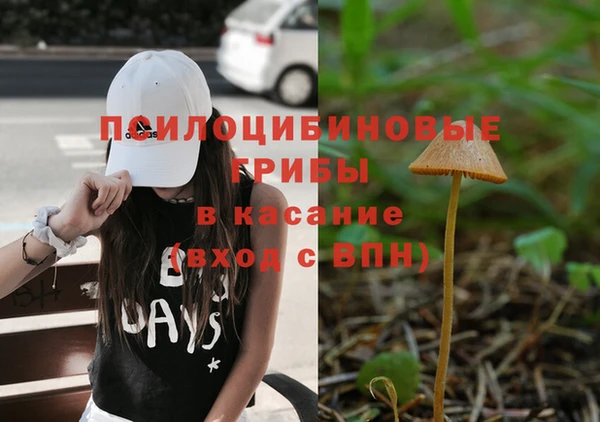 кристаллы Бородино