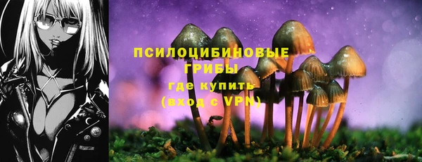ешки Бронницы